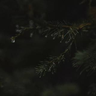 Dark aesthetic 4k phone wallpaper