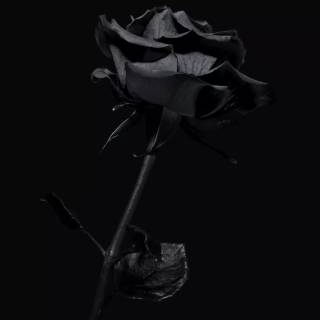 Dark aesthetic 4k phone wallpaper