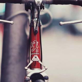 Road bike phone wallpaper