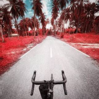 Road bike phone wallpaper