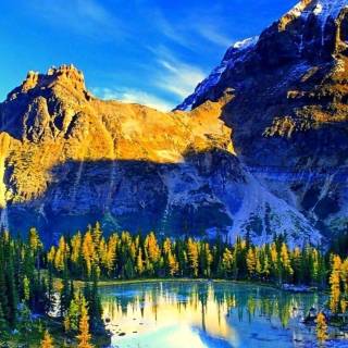Blue nature iPhone wallpaper