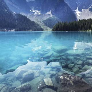 Blue nature iPhone wallpaper