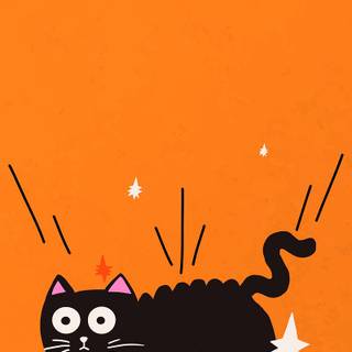 Orange cat iPhone wallpaper