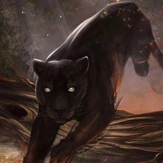 Black Jaguar iPhone wallpaper