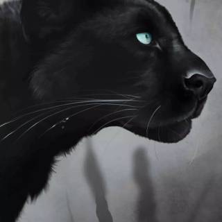Black Jaguar iPhone wallpaper