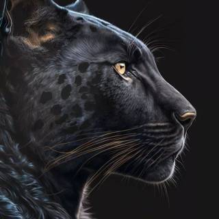 Black Jaguar iPhone wallpaper