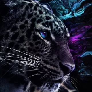 Black Jaguar iPhone wallpaper