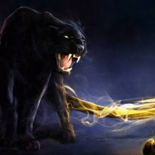 Black Jaguar iPhone wallpaper