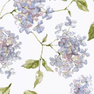 Hydrangea phone wallpaper