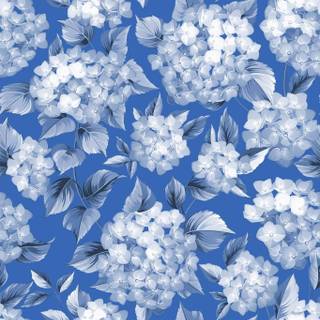 Hydrangea phone wallpaper