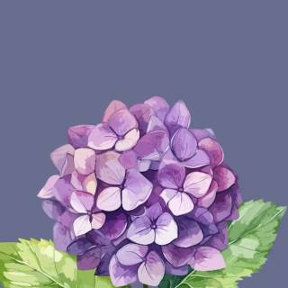 Hydrangea phone wallpaper