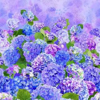 Hydrangea phone wallpaper