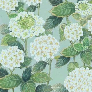 Hydrangea phone wallpaper