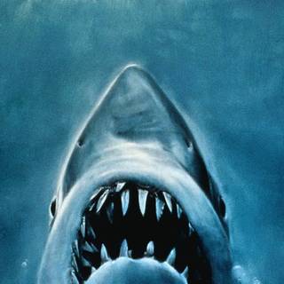 Jaws phone wallpaper