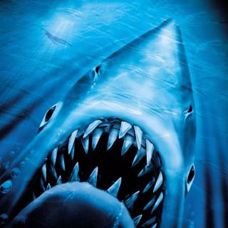 Jaws phone wallpaper