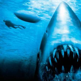 Jaws phone wallpaper