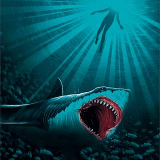 Jaws phone wallpaper
