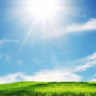 Sunshine iPhone wallpaper