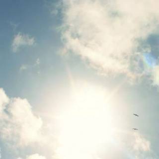 Sunshine iPhone wallpaper