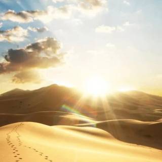 Sunshine iPhone wallpaper
