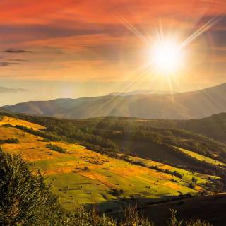 Sunshine iPhone wallpaper