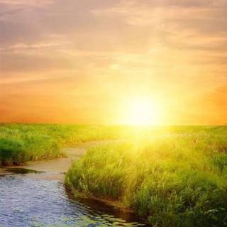 Sunshine iPhone wallpaper