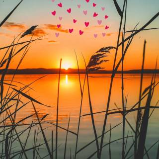 Sunshine iPhone wallpaper