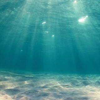 Sunshine iPhone wallpaper