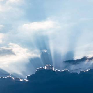 Sunshine iPhone wallpaper