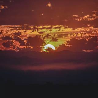 Sunshine iPhone wallpaper