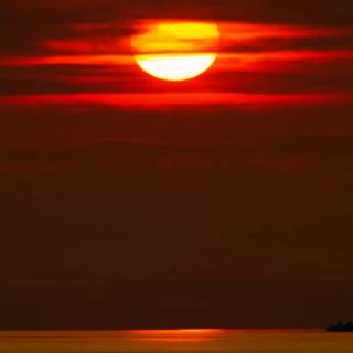 Sunshine iPhone wallpaper