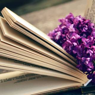 Reading desktop wallpaper