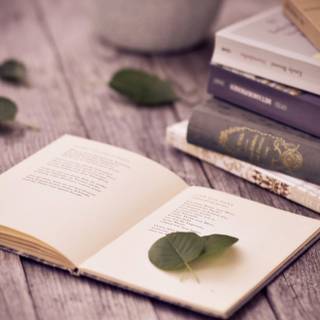 Reading desktop wallpaper