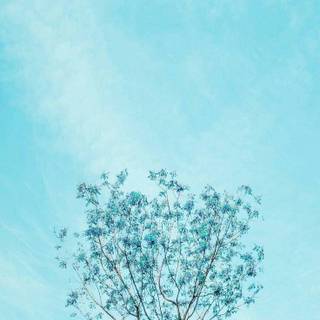Pastel blue iPhone wallpaper