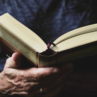 Reading desktop wallpaper