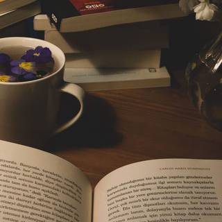 Reading desktop wallpaper