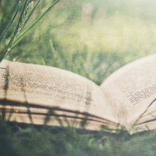 Reading desktop wallpaper