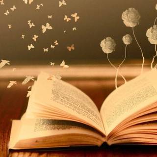 Reading desktop wallpaper