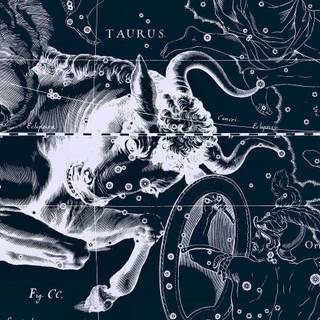 Taurus desktop wallpaper