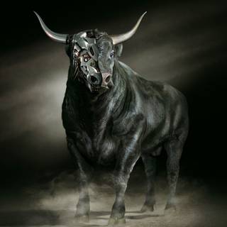 Taurus desktop wallpaper