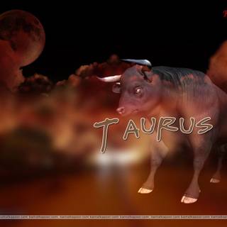 Taurus desktop wallpaper