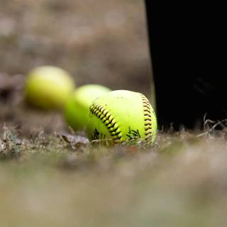 Softball desktop wallpaper