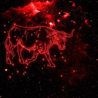 Taurus desktop wallpaper