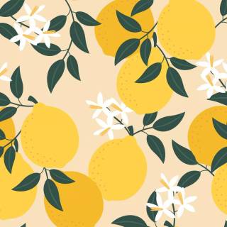 Lemon desktop wallpaper