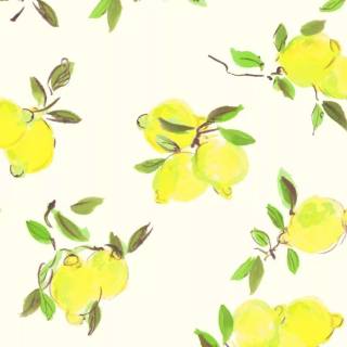 Lemon desktop wallpaper