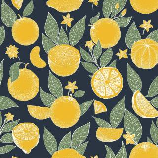 Lemon desktop wallpaper