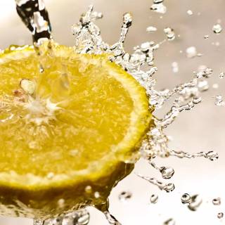 Lemon desktop wallpaper