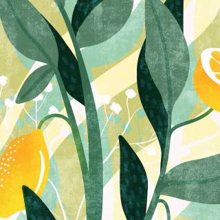 Lemon desktop wallpaper