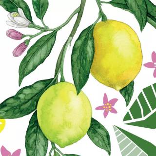 Lemon desktop wallpaper