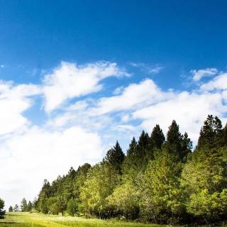 Blue sky mobile wallpaper